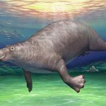 Ancient Aquatic Sloth