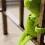 KERMIT