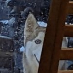 Alaskan KGB POV