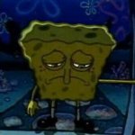 Sad Sponge