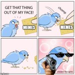 Bird Cracker | MEMES; MEMES | image tagged in bird cracker | made w/ Imgflip meme maker