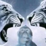 Lion roaring at lion with confused monkey