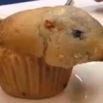 Rat Muffin template