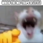 bullys in the 80's where werid | NOBODY: 80'S MOVIE BULLYS WHEN THE MC TRIPS A LITTLE | image tagged in cat pointing and laughing | made w/ Imgflip meme maker