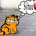 . meme