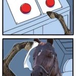 Horse dilemma