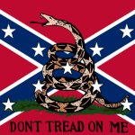 Libertarian Confederate flag