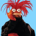 Pepe the king prawn
