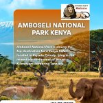 Amboseli National Park Kenya