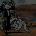 The flabbergasted cats