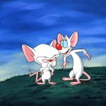 Pinky and the Brain