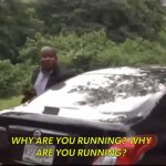 why are you running?? GIF Template