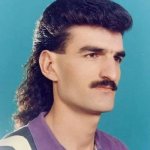 mullet