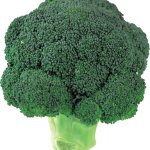 broccoly