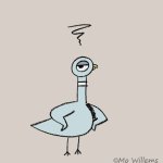 Pigeon