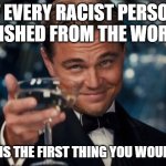 what would you do? | IF EVERY RACIST PERSON VANISHED FROM THE WORLD... WHAT IS THE FIRST THING YOU WOULD DO? | image tagged in memes,leonardo dicaprio cheers,racism,funny,no racism | made w/ Imgflip meme maker