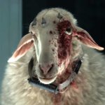 Alien Earth Sheep