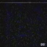 Data Logs