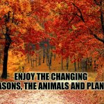 Enjoy the changIng seasons, the animals and plant | ENJOY THE CHANGING SEASONS, THE ANIMALS AND PLANTS | image tagged in road in autumn,seasons,changing seasons | made w/ Imgflip meme maker