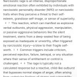 Narcissistic Rage