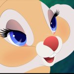 Miss bunny