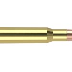 bullet .30-06