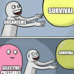 big yellow ball and... | SURVIVAL; ORGANISMS; SURVIVAL; SELECTIVE PRESSURES | image tagged in big yellow ball and | made w/ Imgflip meme maker