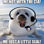 Just a wittle seal | ME NOT WITH THE CIA! ME JUST A LITTLE SEAL! | image tagged in cute seal | made w/ Imgflip meme maker