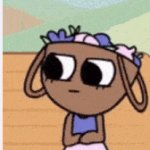 bassie judging