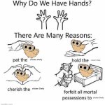 I Believe In Chicken Shelly Supremacy | chicken Shelly; chicken Shelly; chicken Shelly; chicken Shelly | image tagged in why do we have hands all blank | made w/ Imgflip meme maker