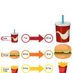 Portion Size Comparison