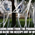 Getting Old | WALKING HOME FROM THE PHARMACY, THE WIND BLEW THE RECEIPT OUT OF MY HANDS | image tagged in toilet paper in tree,pharmacy,old | made w/ Imgflip meme maker