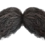 Handlebar Moustache