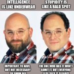 Intelligence and Stupidity | STUPIDITY IS LIKE A BALD SPOT; INTELLIGENCE IS LIKE UNDERWEAR; IMPORTANT TO HAVE, 
BUT NOT NECESSARY
 TO SHOW OFF; THE ONE WHO HAS IT WON’T
ADMIT IT, BUT EVERYONE
 ELSE SEES IT CLEARLY | image tagged in bald or balding | made w/ Imgflip meme maker