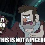 This is NOT a Pigeon | TOTALLY A PIGEON; THIS IS NOT A PIGEON | image tagged in this is not a pigeon | made w/ Imgflip meme maker