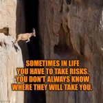 Sometimes in life you have to take risks. You don't always know where they will take you. | SOMETIMES IN LIFE YOU HAVE TO TAKE RISKS. YOU DON'T ALWAYS KNOW WHERE THEY WILL TAKE YOU. | image tagged in confidence goat,confidence,risk,future | made w/ Imgflip meme maker