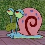 Gary Squidward