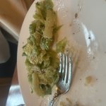 So much lettuce, so little time