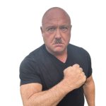 Alex Jones The Austrian Painter