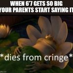 Please save meeeeeeeeeeeeeeeeeeee!!!! | WHEN 6'7 GETS SO BIG YOUR PARENTS START SAYING IT | image tagged in dies of cringe,funny,memes,6 7,if you are reading this help me,nuclear cringe | made w/ Imgflip meme maker