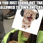 Typical crazy cat ladies and men | WHEN YOU JUST FOUND OUT THAT YOU ARE ONLY ALLOWED TO OWN ONE CAT AT A TIME | image tagged in screaming trump protester at inauguration,cat,cat lovers,cute cat,cat lover,crazy | made w/ Imgflip meme maker