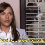 Pam is...kind of a