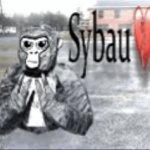 Gtag sybau 2