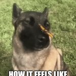 :) | HOW IT FEELS LIKE TO BE YOUR TRUE SELF | image tagged in gifs,wholesome,wholesome content,idk,for you | made w/ Imgflip video-to-gif maker