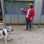 Hund und Mann in roter Jacke