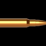 bullet