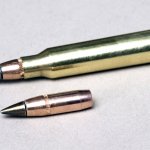 bullet