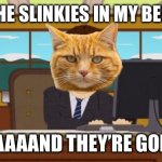 You know the cats stole it… | I PUT THE SLINKIES IN MY BEDROOM; AAAAAND THEY’RE GONE | image tagged in memes,aaaaand its gone,cats,slinky,bedroom,funny | made w/ Imgflip meme maker
