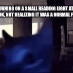 MY EYES | ME TURNING ON A SMALL READING LIGHT AT NIGHT FOR A BOOK, NOT REALIZING IT WAS A NORMAL FLASHLIGHT | image tagged in gifs,cats | made w/ Imgflip video-to-gif maker