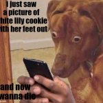 I Did NOT Need To See That | i just saw a picture of white lily cookie with her feet out; and now i wanna die | image tagged in shocked dog,crk,cookie run kingdom,my eyes,pass the unsee juice my bro,oh god why | made w/ Imgflip meme maker